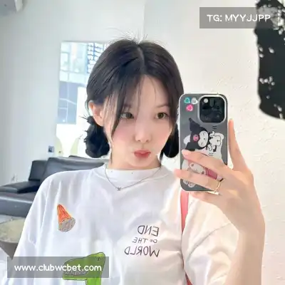成菲笛